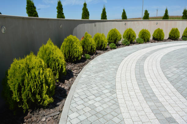 Best Affordable Driveway Pavers  in Lyman, SC
